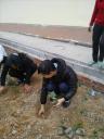 cay 2 - 