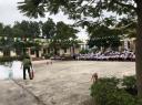 PCCC5.jpg - 